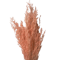 2 x Apricot Preserved Dried Sea Lavender Or Misty