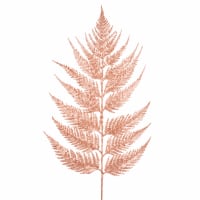 1 x Rose Gold Leather Fern