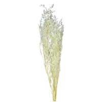 1 x White Preserved Dried Sea Lavender Or Misty Half Stem