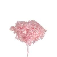 1 x Pink Preserved Dried 1/4 Stem Hydrangea