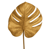 1 x Gold Monsteria Leaf