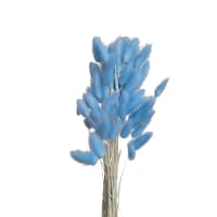 3 x Blue Preserved  Dried Bunny Tails