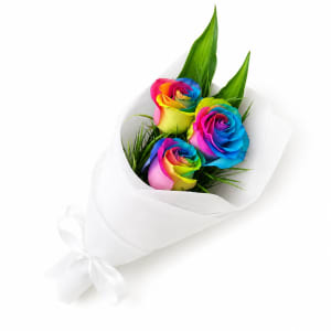 Rainbow Roses - Standard