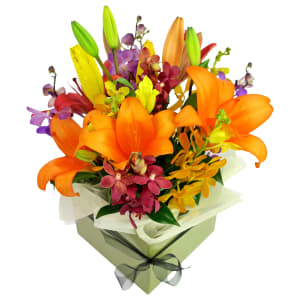 Making Magic Posy Box - Standard