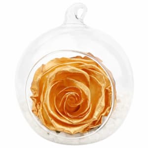 Preserved Gold Orb - Standard