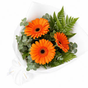 Gerbera Gems Posy - Standard