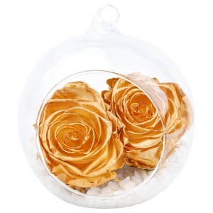 Preserved Gold Orb - Standard