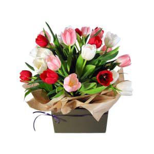 Divine Tulips Flower Box - Standard