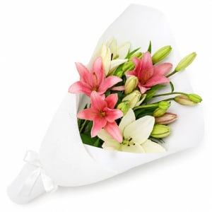 Mixed Pastel Lily Bunch - Standard