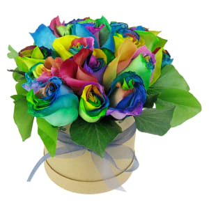 So Fancy Rainbow Roses - Standard