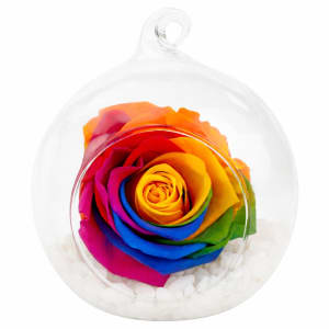 Preserved Rainbow Rose Orb - Standard