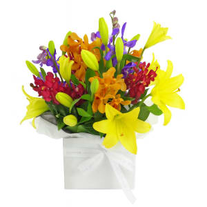Making Magic Mixed Brights Posy Box - Standard