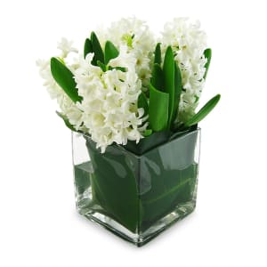 Hyacinth Vase - Deluxe