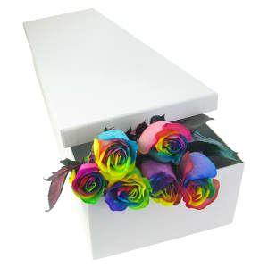 Rainbow Rose Trio - 12 Roses (One Dozen)