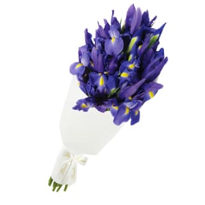 Blue Iris Flower Bouquet - Standard