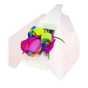 Rainbow Rose Trio - 12 Roses (One Dozen)