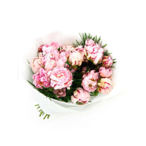 Peonies - Deluxe