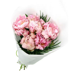 Peonies - Deluxe