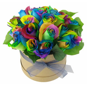 So Fancy Rainbow Roses - Standard