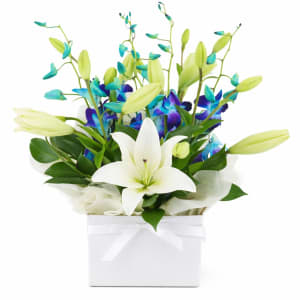 Blue Making Magic Posy Box - Standard