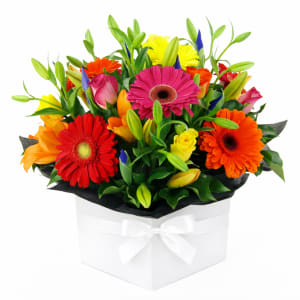 Vivacious Mixed Brights Flower Box - Standard