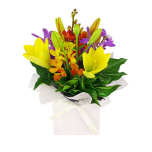 Making Magic Mixed Brights Posy Box - Standard