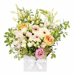 Pawsitively Pastel Bloom Box - Deluxe