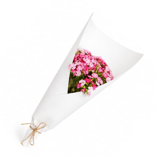 Market Bunch Soft Pink Sweet William