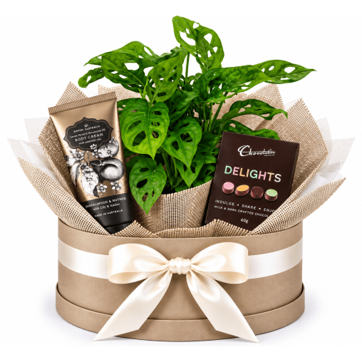 🌿✨ Monkey Mask & Little Luxuries Hamper ✨🌿