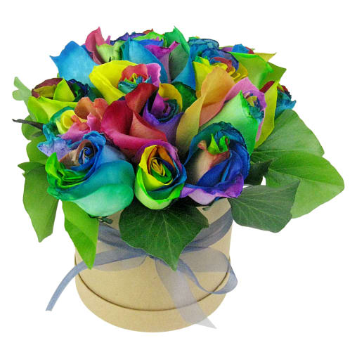 So Fancy Rainbow Roses