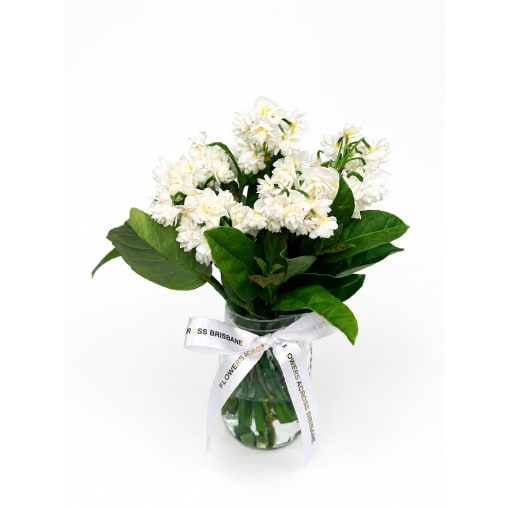 Sweet Jonquil Jar