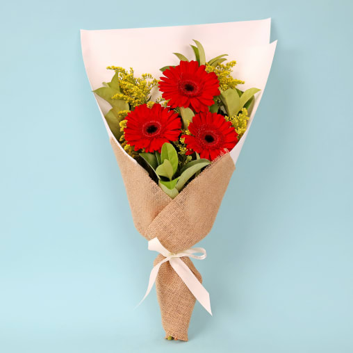 Gallant Gerberas