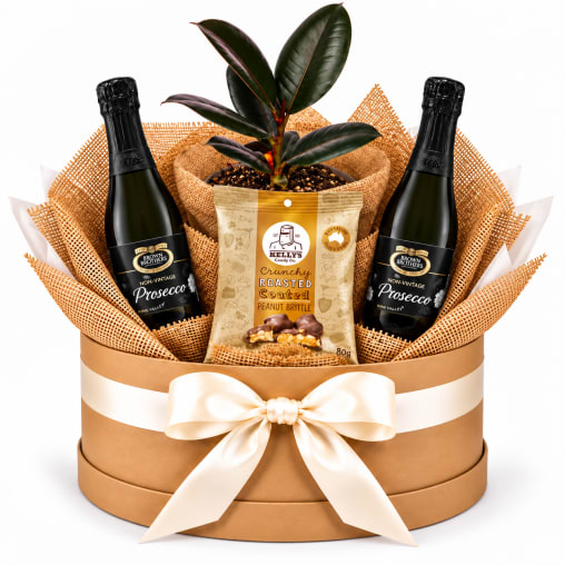 🌿🥂 Burgundy Bubbles & Sweet Delights Plant Hamper 🥜✨