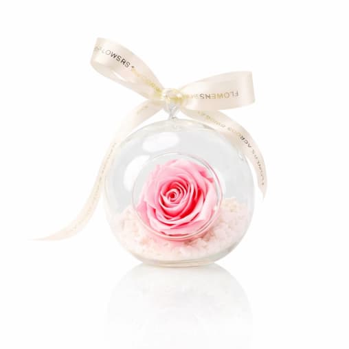 Preserved Pink Rose Orb