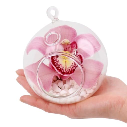 Orchid Orb Glass Hanging Tealight Vase