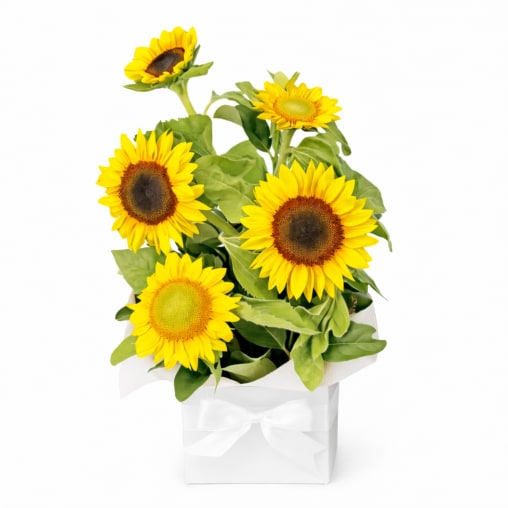 Sunburst Bloom Box