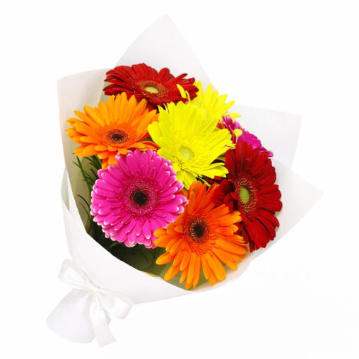Gerbera Bright Flower Bunch