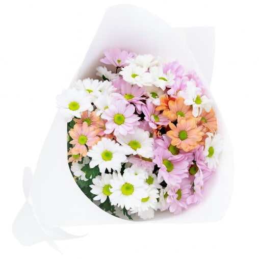 Mixed Pastels Chrysanthemum Bunch