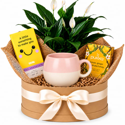 💗🌿 Peace Lily & Sweet Smiles Hamper 🌿💗