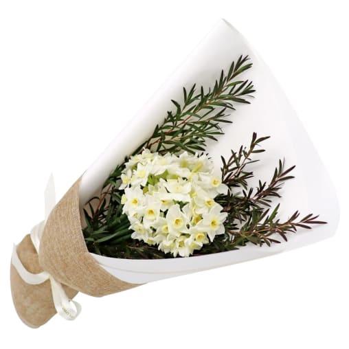 Erlicheer Posy