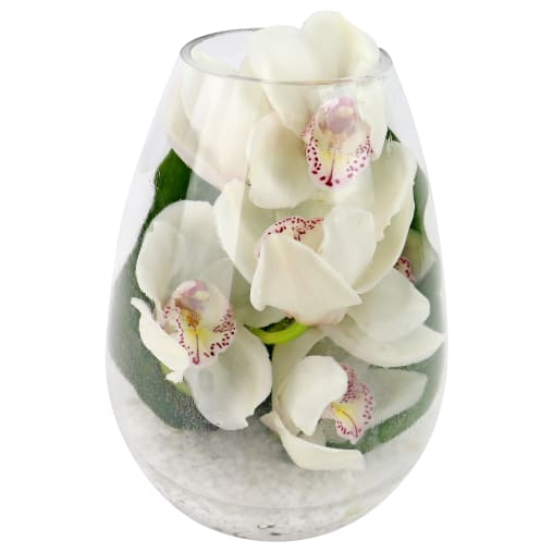 Beauty Beheld Cymbidium Orchid Vase