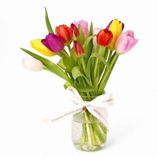 Terrific Tulips