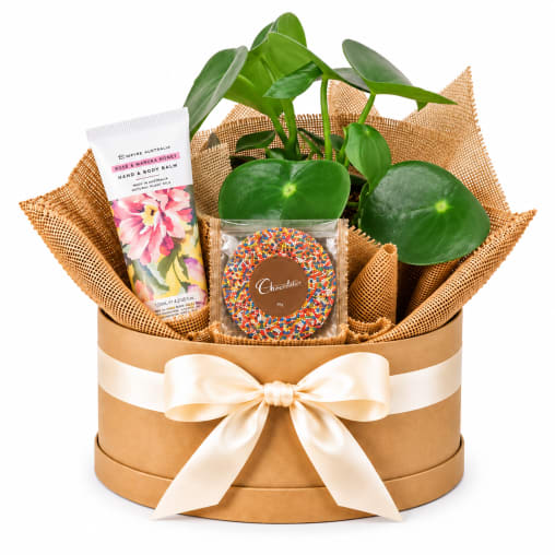 🌿💕 Little Moments Of Joy Plant Hamper 💕🌿