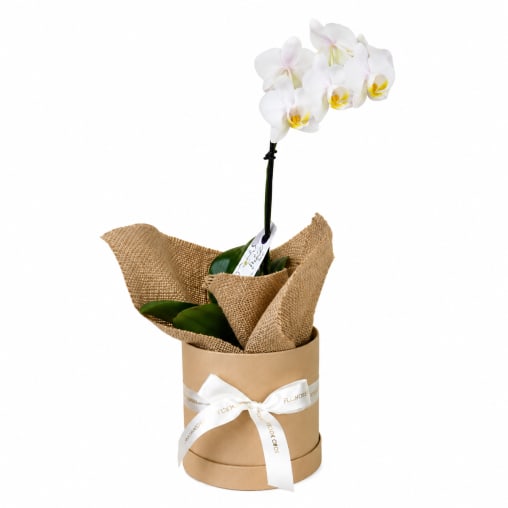 Blooming Beauty Hat Box