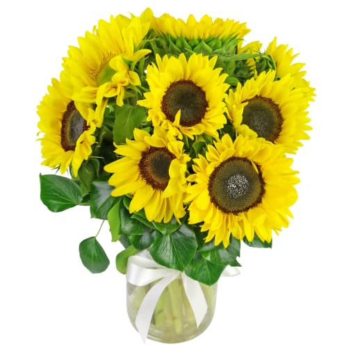Sunflowers In A Vase