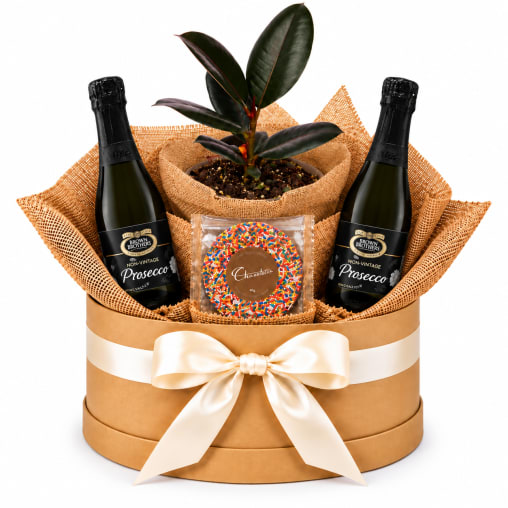 🌿🥂 Ruby Ficus & Bubbles Hamper 🥂🌿