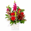 Festive Bloombox - Standard (thumbnail 1 of 2)