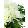 alternate arrangement view