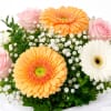 Levity Bloom Box - Standard (thumbnail 4 of 4)