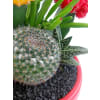 alternate arrangement view